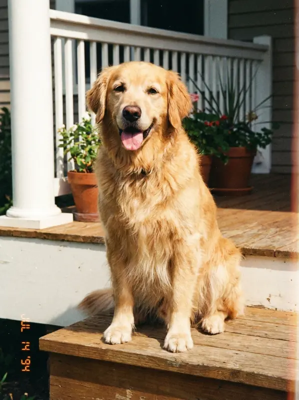 Jonas